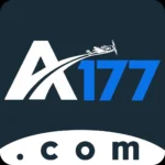 A177 Game